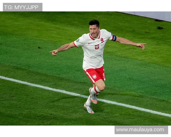 武汉排球队勇闯欧锦赛的辉煌历程与奋斗精神展现